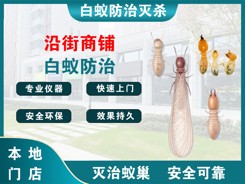 金湖沿街商铺白蚁防治