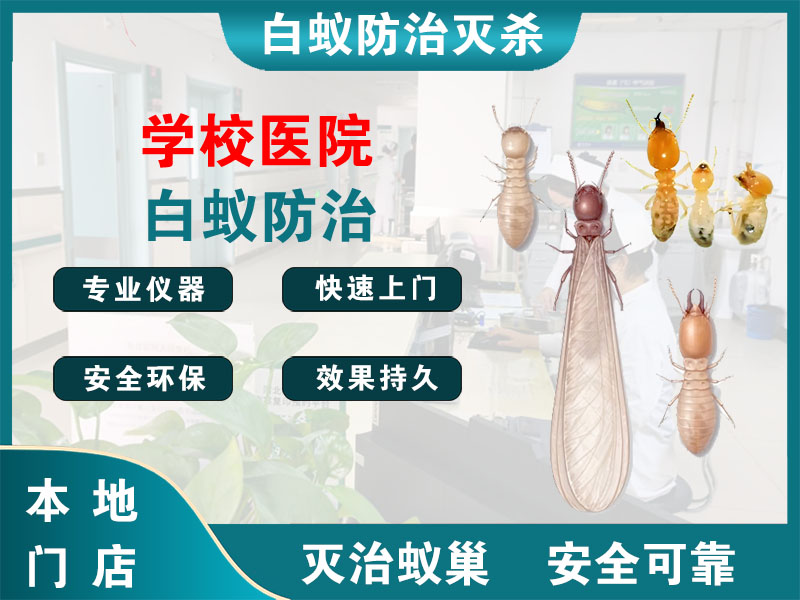 金湖学校医院白蚁防治