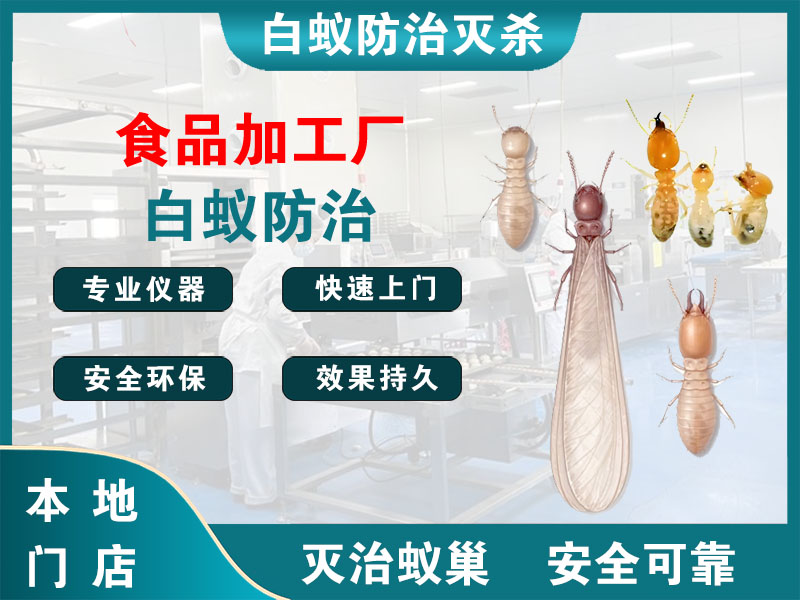 金湖食品加工厂白蚁防治