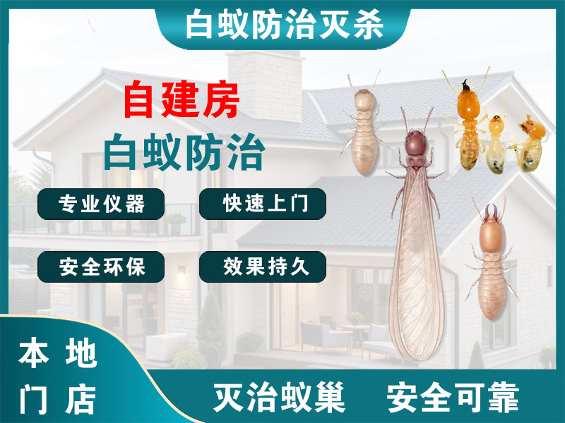 金湖自建房白蚁防治