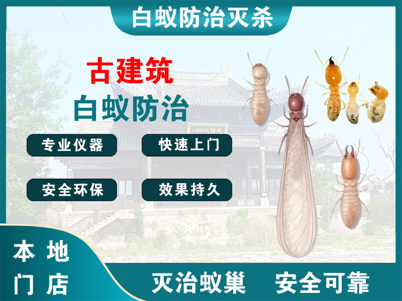 金湖古建筑白蚁防治