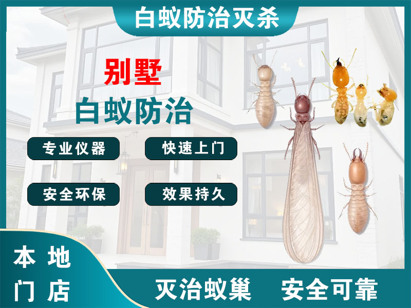 金湖别墅白蚁防治